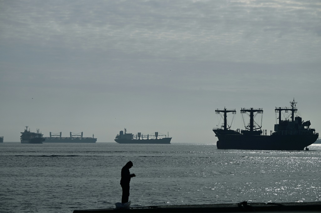 سفينة شحن محملة حبوبا في منطقة الرسو عند مدخل البوسفور في اسطنبول في 31 تشرين الأول/أكتوبر 2022 (ا ف ب)