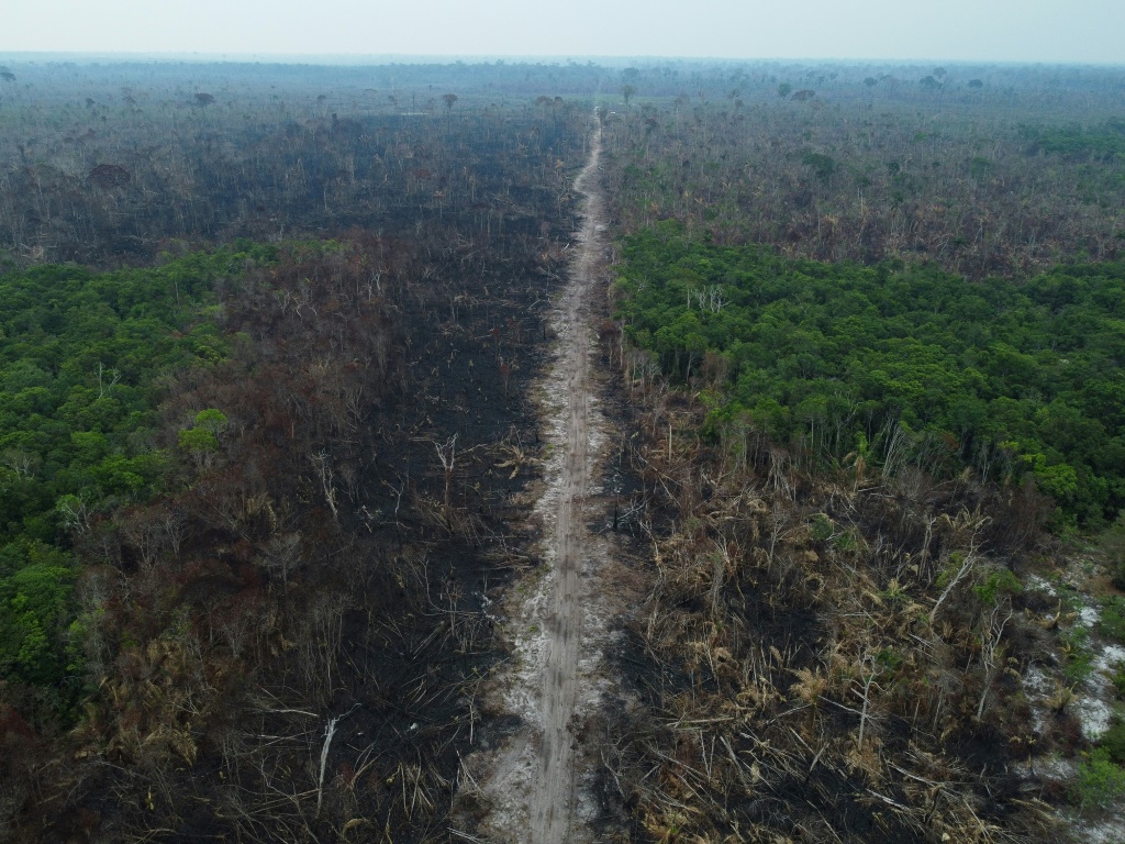 صورة مؤرخة في 22 أيلول/سبتمبر 2022 لمنطقة أزيلت فيها الغابات في الامازون (ا ف ب)