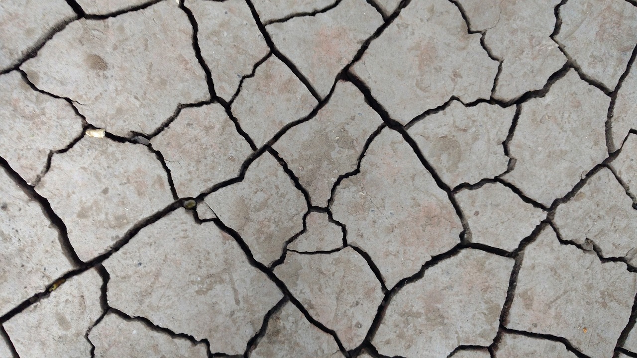 صورة تعبيرية (بيكسباي)