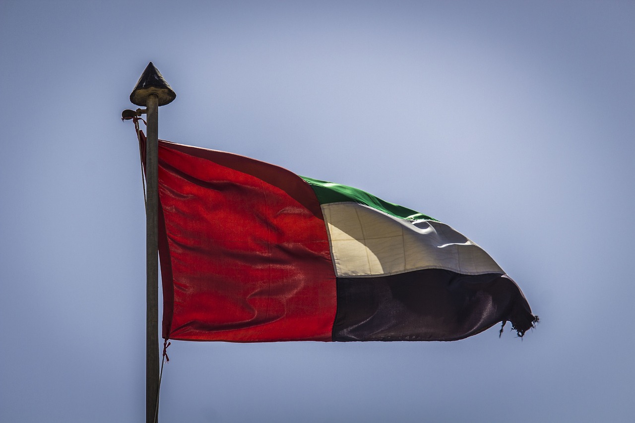 علم دولة الإمارات (بيكسباي)