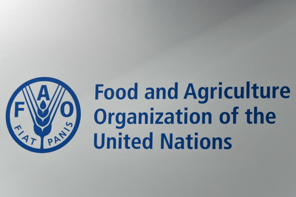    شعار منظمة الأغذية والزراعة للأمم المتحدة في مقر المنظمة في روما في 23 حزيران/يونيو 2019 (أ ف ب)