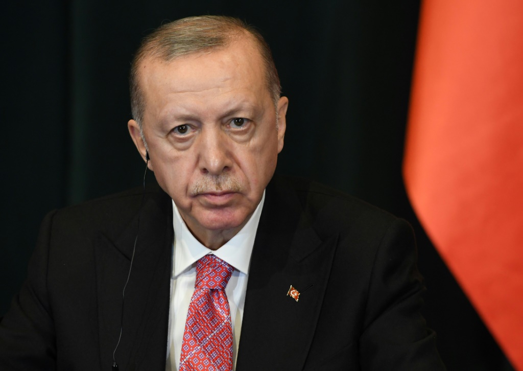 الرئيس التركي رجب طيب أردوغان (ا ف ب)   