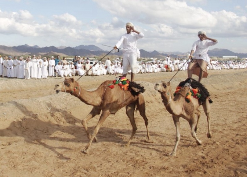 استطاعت سلطنة عمان في عام 2018 إدراج عرضة الخيل والإبل العمانية، في قائمة اليونسكو للتراث الثقافي غير المادي (تواصل اجتماعي)