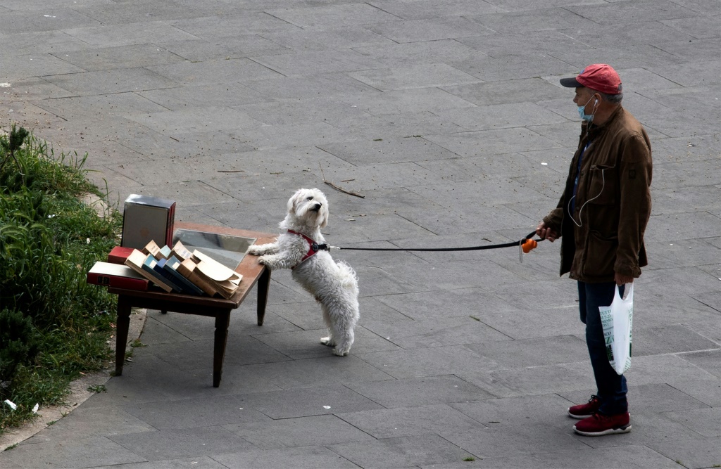 رجل يقف مع كلبه بجوار مكان مخصص لتبادل الكتب في روما بتاريخ 13 نيسان/ابريل 2020 (ا ف ب)