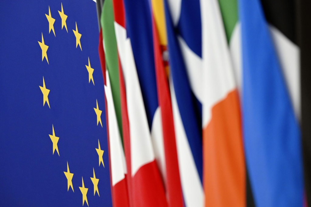 علم الاتحاد الاوروبي الى جانب اعلام دول اخرى في البرلمان الأوروبي (ا ف ب)