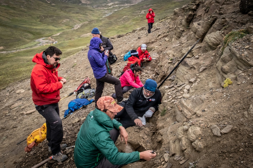 تُظهر صورة نشرها معهد تشيلي أنتاركتيكا علماء يعملون في موقع أحفوري في فبراير 2020 في سيرو جيدو في وادي لاس تشيناس في جنوب تشيلي (أ ف ب)