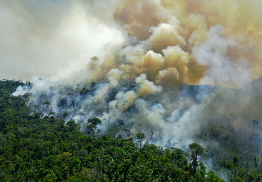 لقطة جوية لمنطقة تشهد حرائق في غابة الامازون من الجانب البرازيلي بتاريخ 16 آب/أغسطس 2020 (ا ف ب)