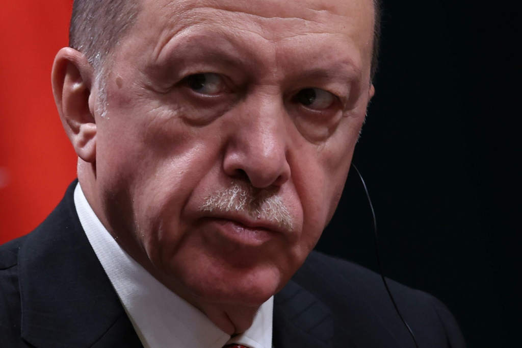 الرئيس التركي رجب طيب اردوغان خلال مؤتمر صحافي مشترك مع نظيره الكوبي في أنقرة في 23 تشرين الثاني/نوفمبر 2022 (ا ف ب)