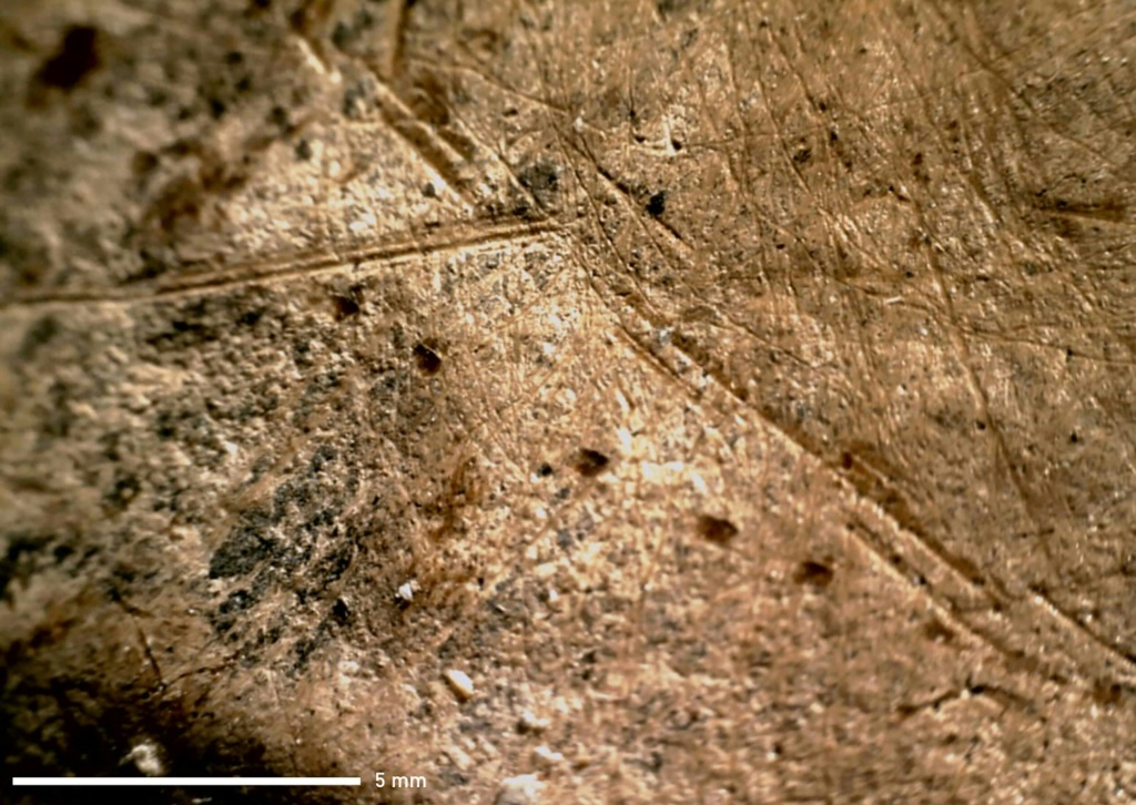 صومركز مونريبوس للأبحاث في ألمانيا تظهر آثار أدوان حجرية على عظمة فيل تعود إلى نحو 125 ألف سنة (ا ف ب)