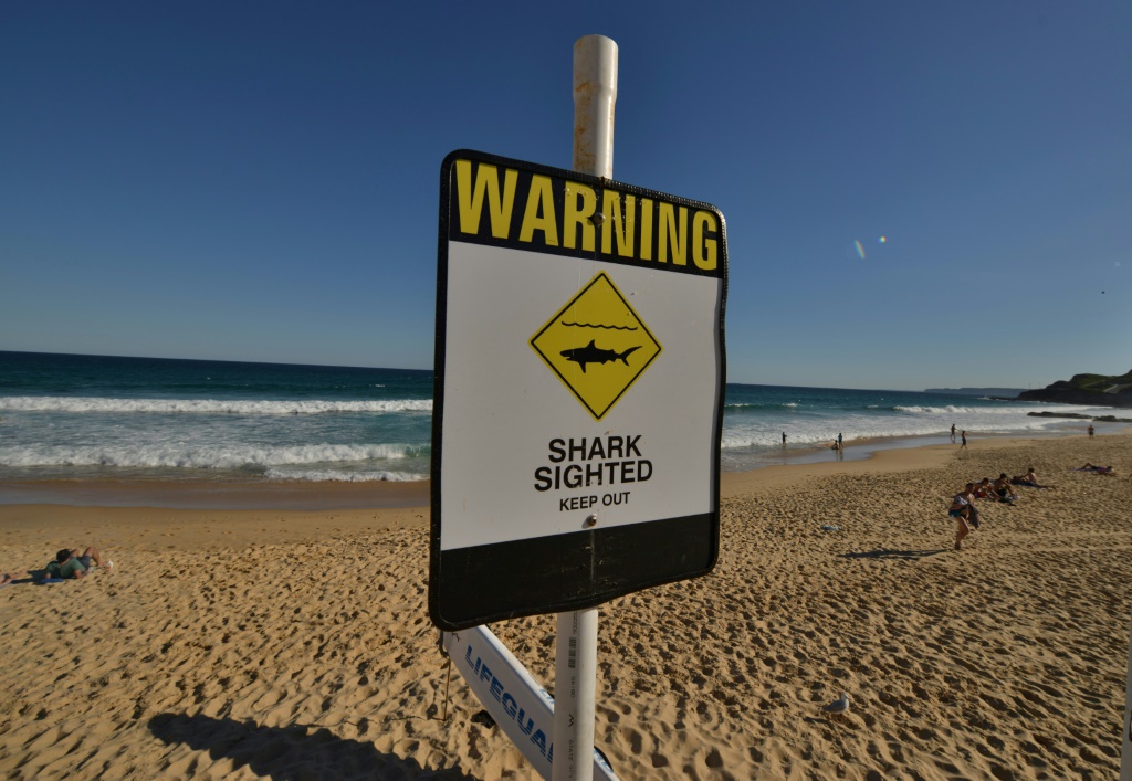 لافتة تحذر من وجود اسماك قرش على احد شواطئ نيوكاسل في استراليا (ا ف ب)