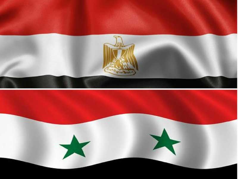 أشار البيان إلى أن السيسي وجه "بتقديم كافة أوجه العون والمساعدة الإغاثية الممكنة في هذا الصدد إلى سوريا" (الرئاسة الصرية)