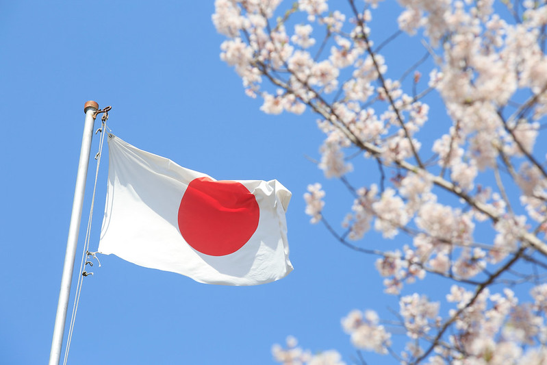 العلم الياباني (بيكسباي)