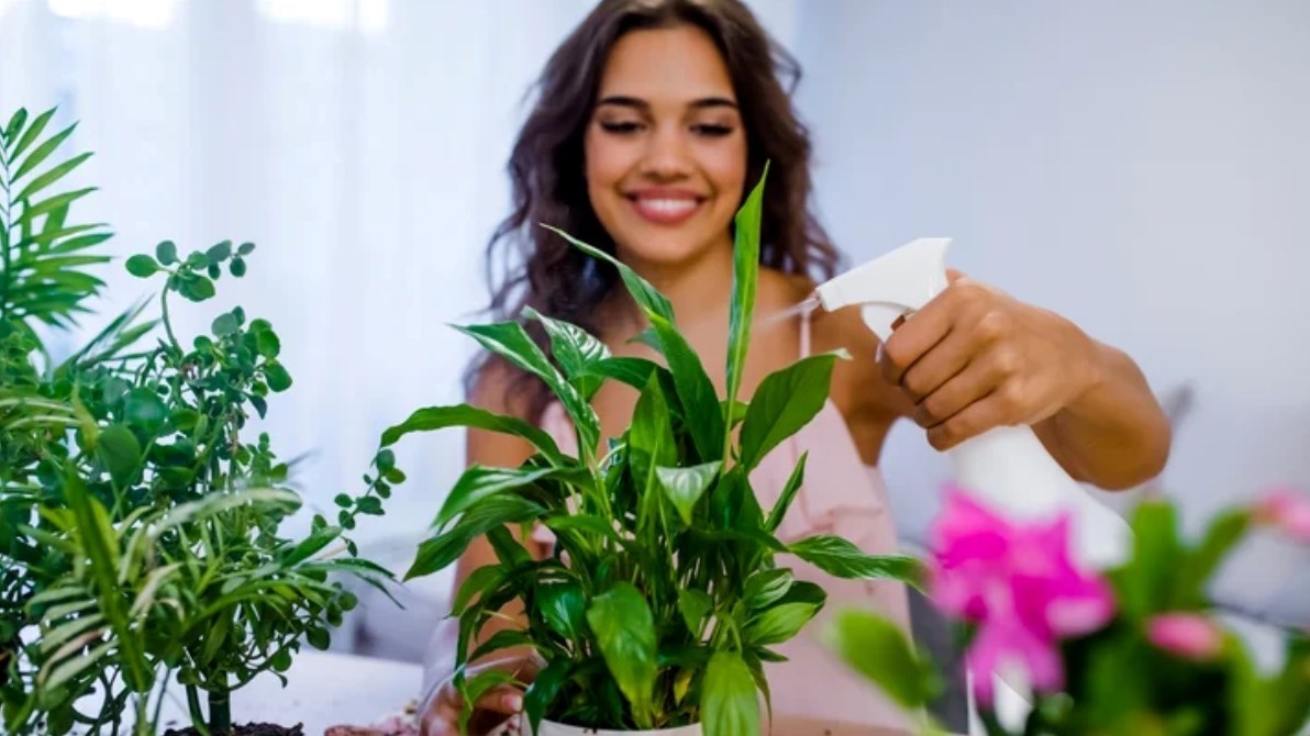 ماذا يعني أن تعالجي بشرتك كالنبتة المنزلية؟ ( زهرة الخليج)