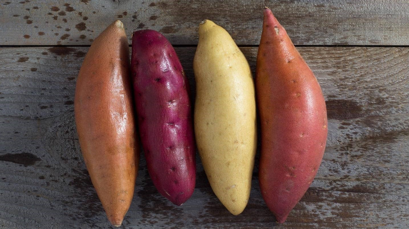 البطاطا الحلوة.. أصناف وألوان بفوائد جمة ( زهرة الخليج)