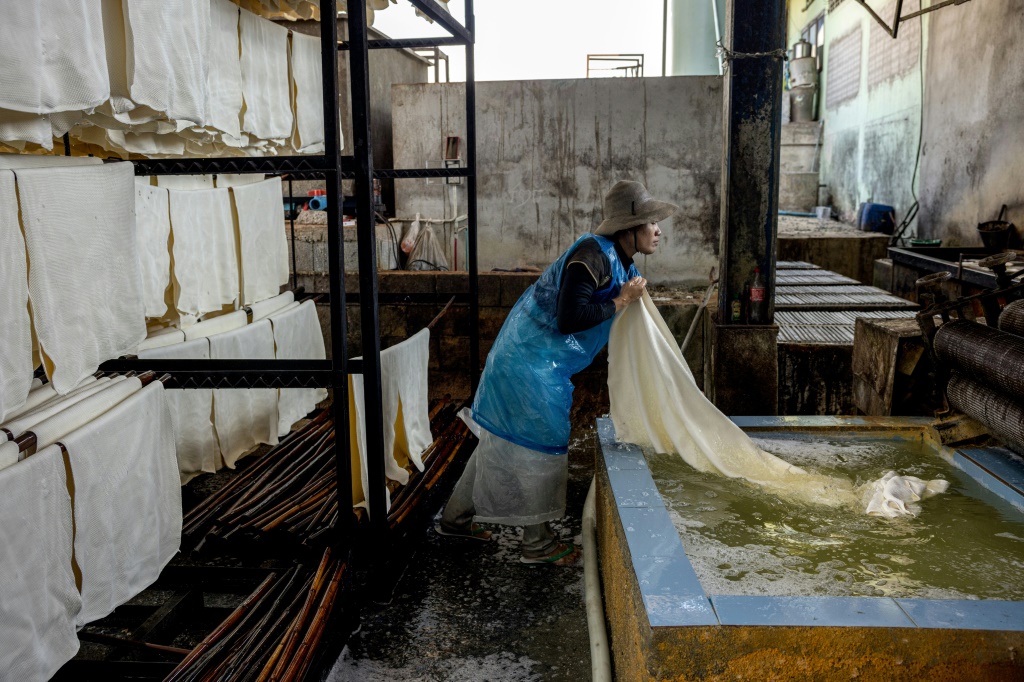    عمال المصنع يعالجون صفائح المطاط الطبيعي في تعاونية كلونجبان للمطاط في مقاطعة ترانج (أ ف ب)