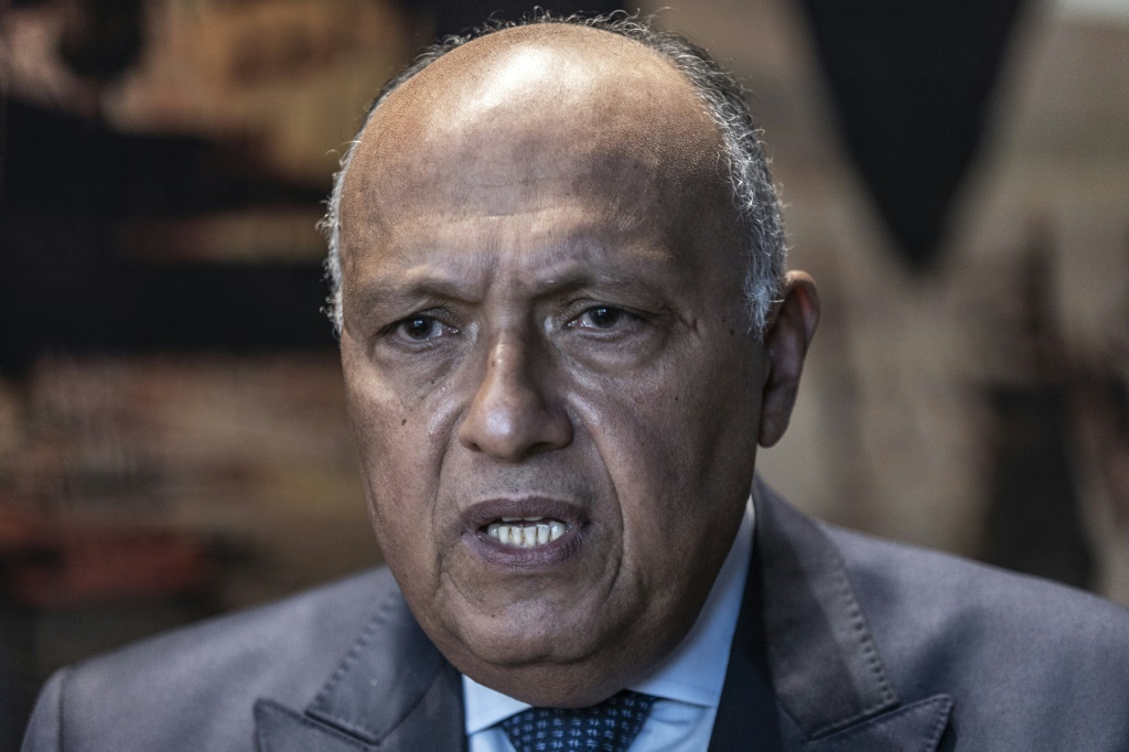 وزير الخارجية المصري سامح شكري خلال مقابلة في أديس أبابا في 19 شباط/فبراير 2023 (ا ف ب)