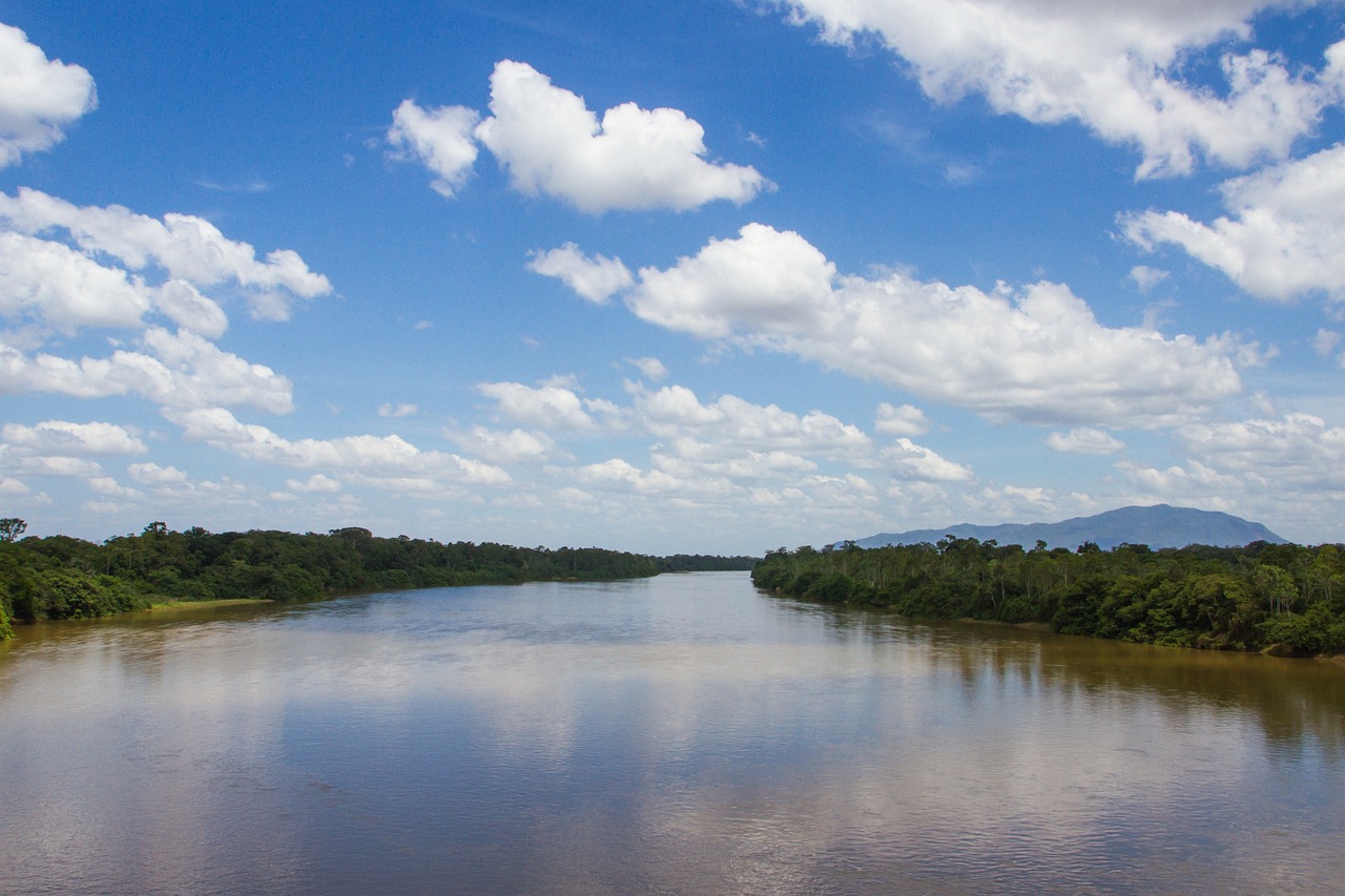 لقطة من غابات الأمازون (بيكسباي)