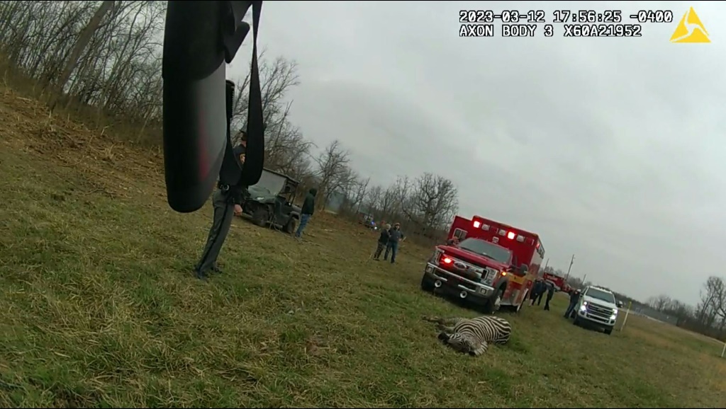 لقطة من كاميرا مثبتة على جسم شرطي تظهر حمارا وحشيا نافقا بعد إطلاق النار عليه من جانب الشرطة في ولاية أوهايو الأميركية في 12 آذار/مارس 2023 (ا ف ب)