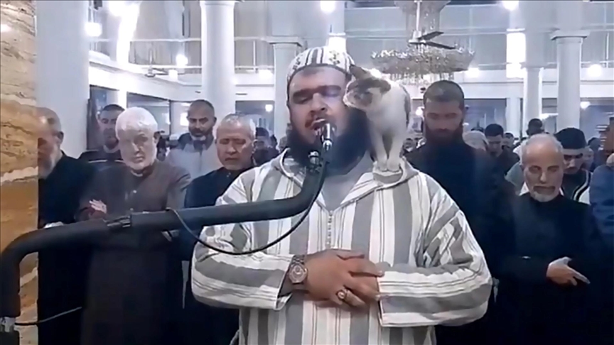 الأمام الجزائري والقطة (مواقع التواصل الاجتماعي)