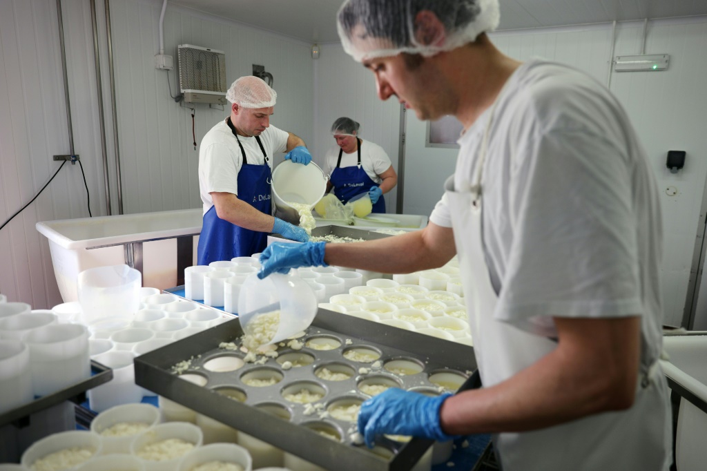 صانعو الجبن يصبّون الخثارة في قوالب لصنع جبنة تنوورث" في غرفة الإنتاج في "هامبشير تشيز كومباني" بالقرب من بايسينغستوكفي هامبشير بجنوب شرق إنكلترا في 14 آذار/مارس 2023 (ا ف ب)