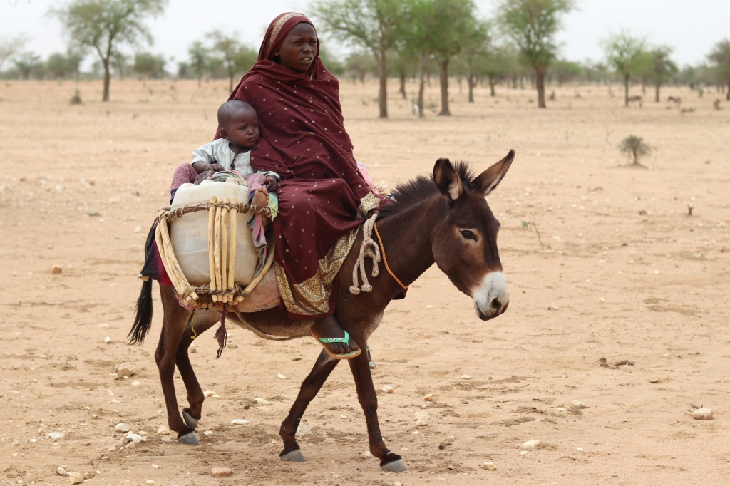    لاجئون سودانيون يفرون إلى تشاد على ظهر حمار قرب كوفرون في إيشبارا في 1 أيار/مايو 2023. (أ ف ب)