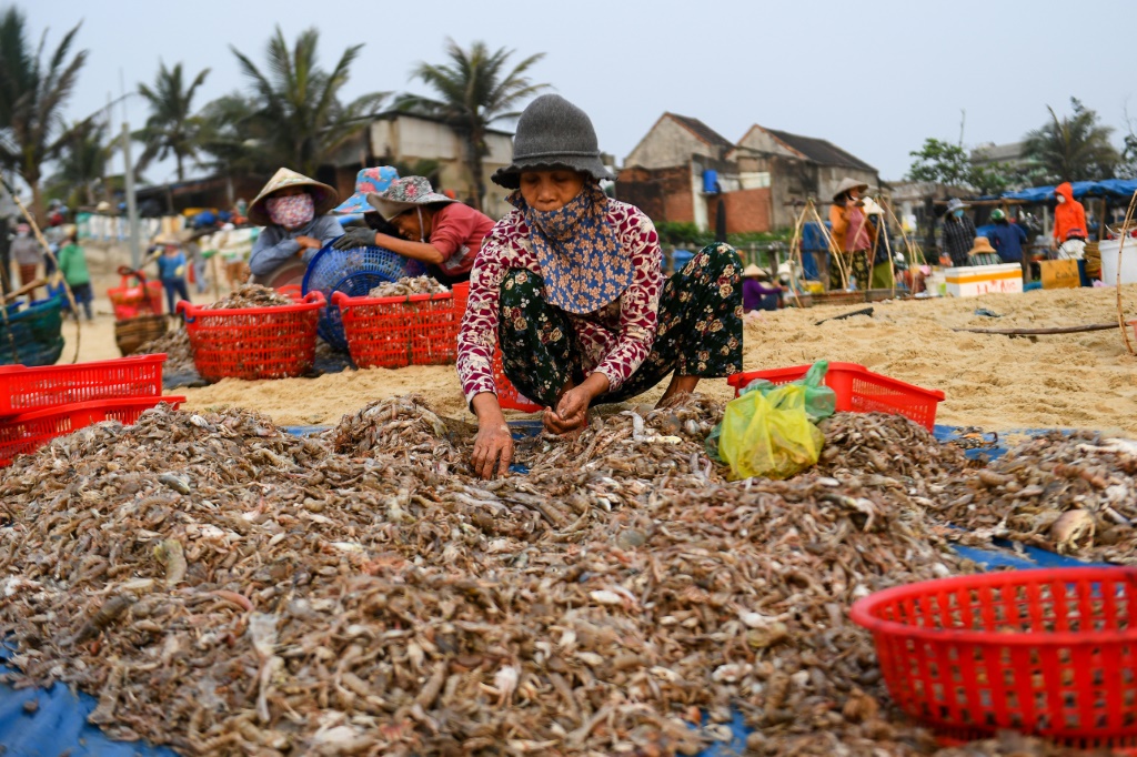 سوق للسمك في مقاطعة كوانغ نام بفيتنام في 13 نيسان/ابريل 2023 (ا ف ب)