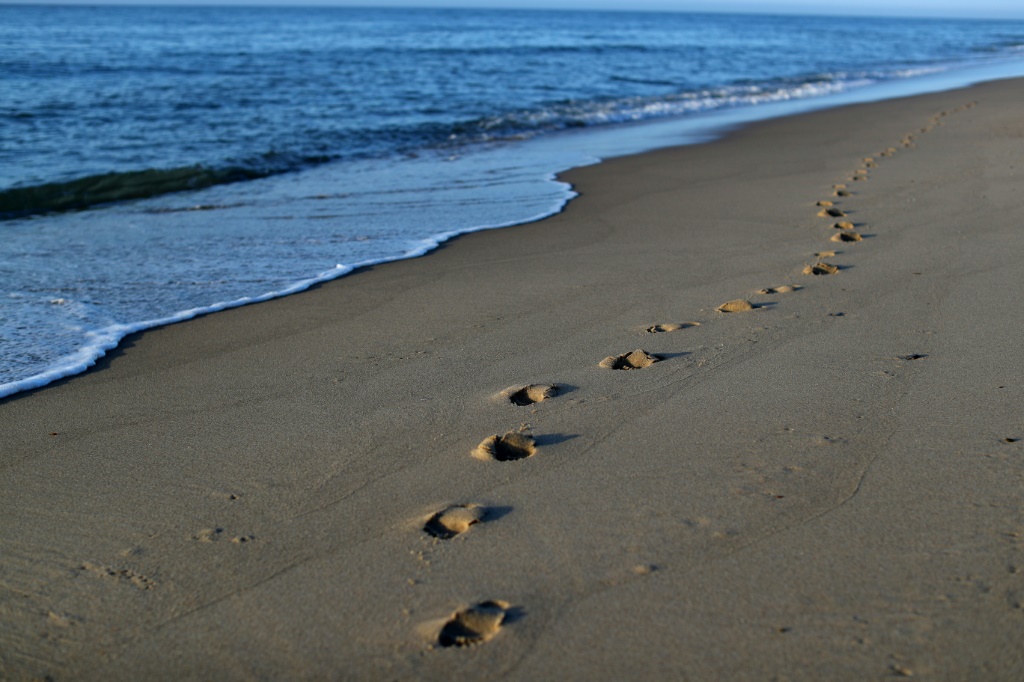 آثار أقدام على شاطئ في ماساتشوستس في الولايات المتحدة (ا ف ب)