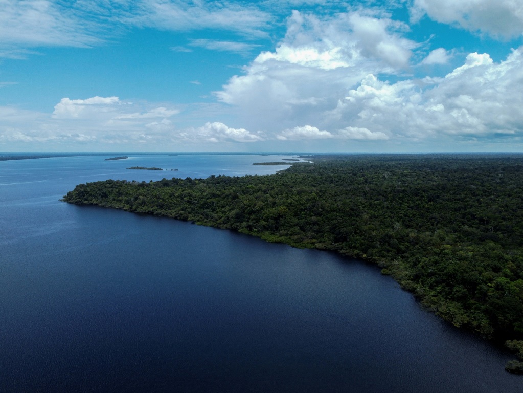     ليس بعيدًا عن هذه المنطقة شمال غرب ماناوس بالبرازيل ، يجري العلماء اختبارات على غابات الأمازون المطيرة لتحديد تأثير الاحتباس الحراري. (أ ف ب)