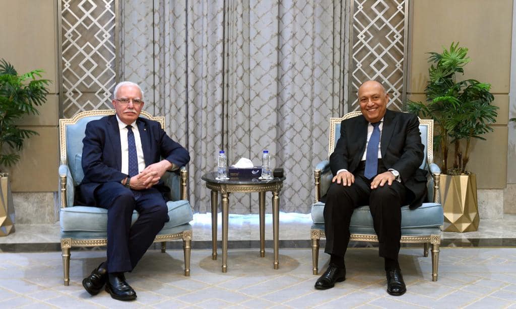 وزير خارجية فلسطين رياض المالكي ونطيره المصري سامح شكري (الخارجية المصرية)