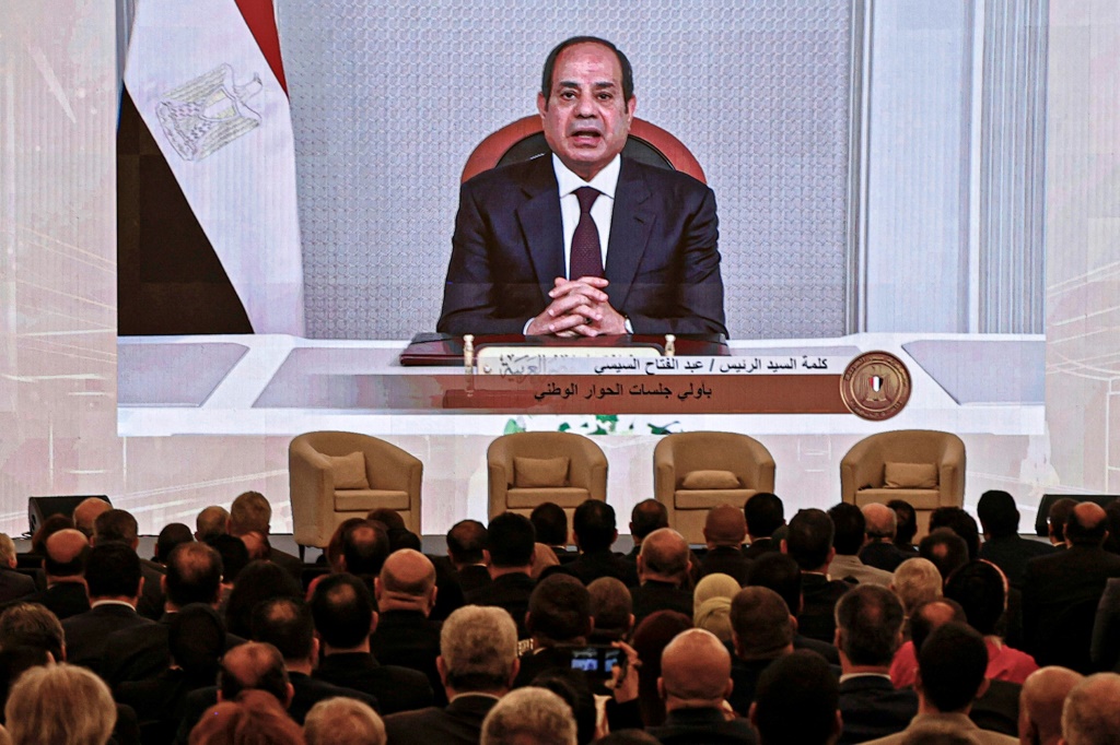 الرئيس المصري عبد الفتاح السيسي (أ ف ب)