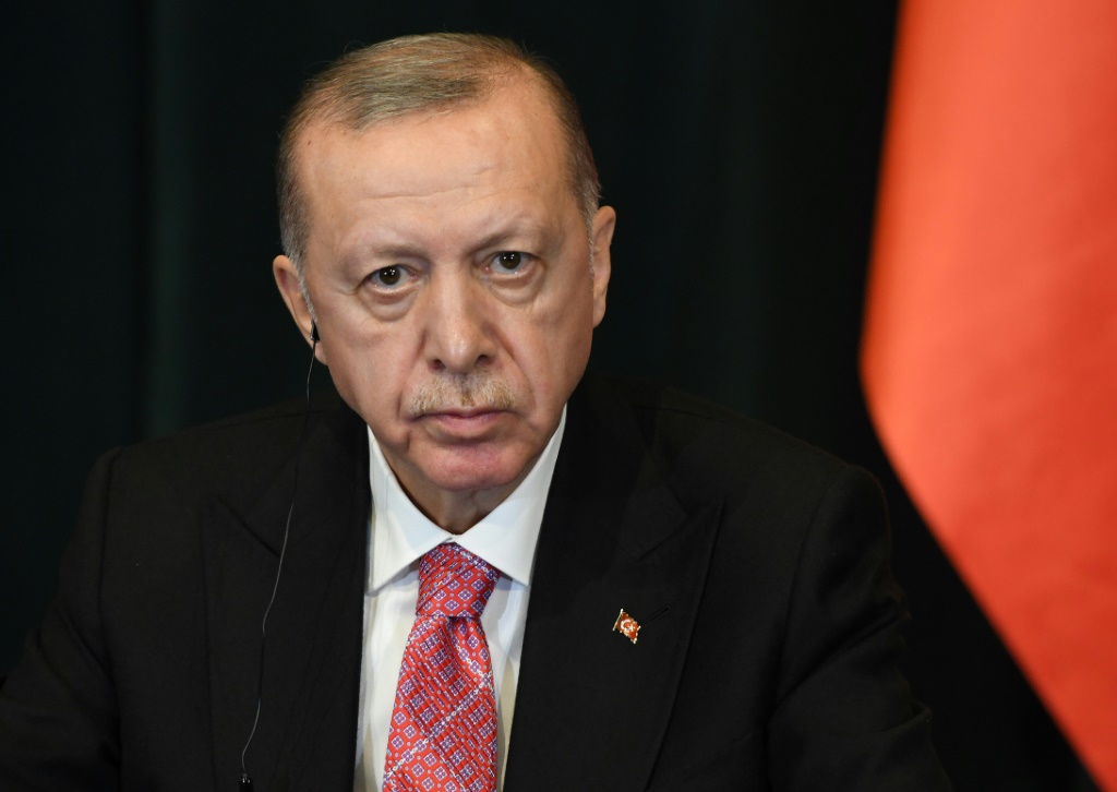 الرئيس التركي رجب طيب أردوغان (أ ف ب)