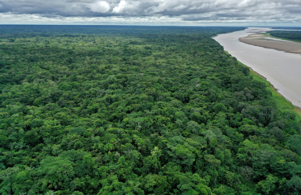 لقطة جوية لنهر الأمازون قرب ليتيسيا في كولومبيا في تشرين الثاني/نوفمبر 2020 (ا ف ب)
