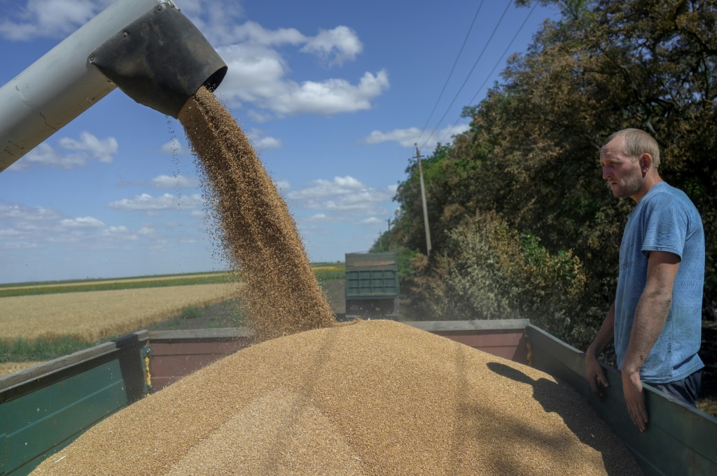 مزارع يجمع القمح قرب ميكولايف في 21 تموز/يوليو 2022 (ا ف ب)