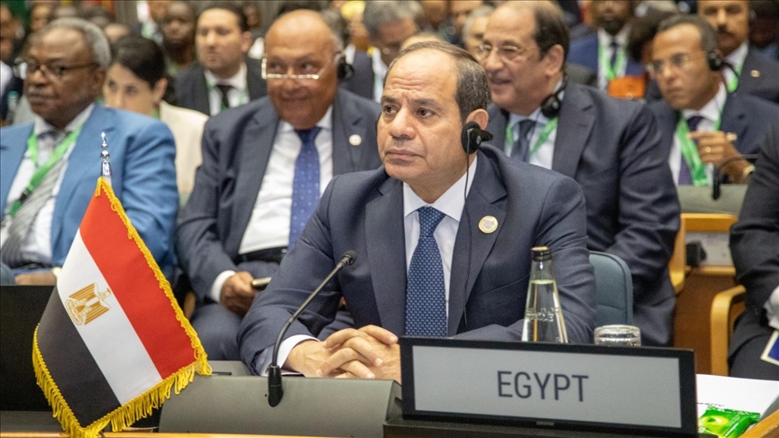 الرئيس المصري عبد الفتاح السيسي (الاناضول)