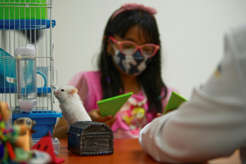 الطفلة أليسيا المصابة باضطراب فرط الحركة ونقص الانتباه، خلال جلسة علاجية تُستخدم فيها حيوانات في مركز للصحة الذهنية في العاصمة المكسيكية في السابع من تموز/يوليو 2023 (ا ف ب)