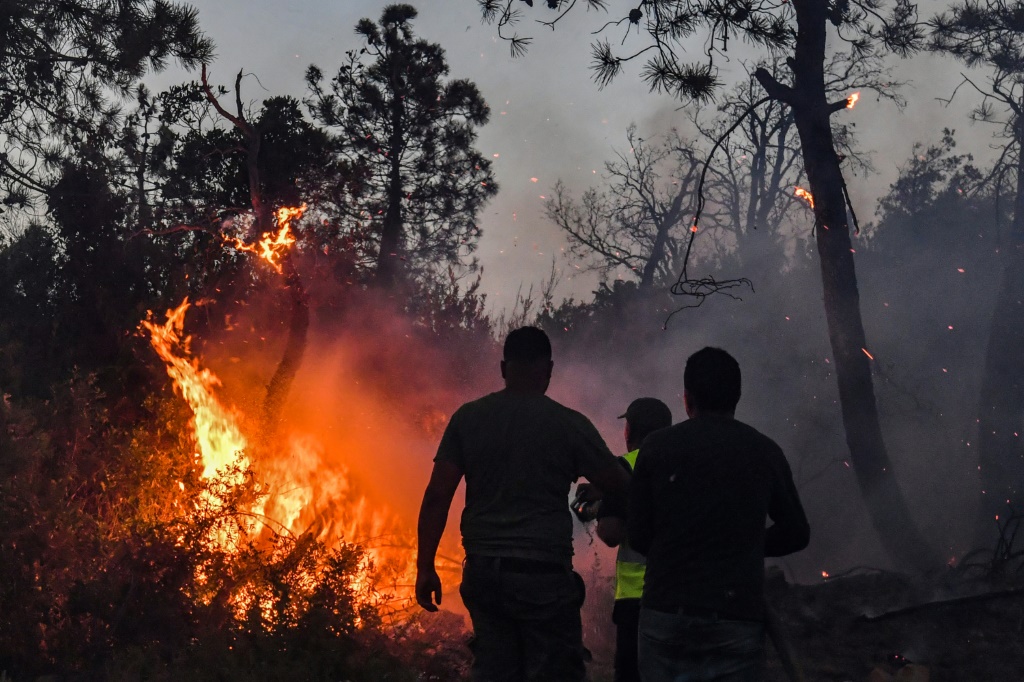 رجال الإطفاء يحاولون إخماد حريق غابات مستعر بالقرب من ملولة في شمال غرب تونس بالقرب من الحدود مع الجزائر في 24 تموز/يوليو 2023 (ا ف ب)