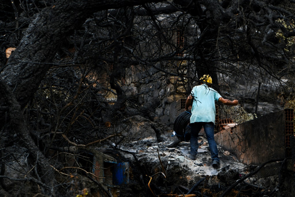 رجل يسير بين أشجار متفحمة بعد حريق غابة في ملولا بتونس قرب الحدود مع الجزائر في 26 تموز/يوليو 2023 (ا ف ب)
