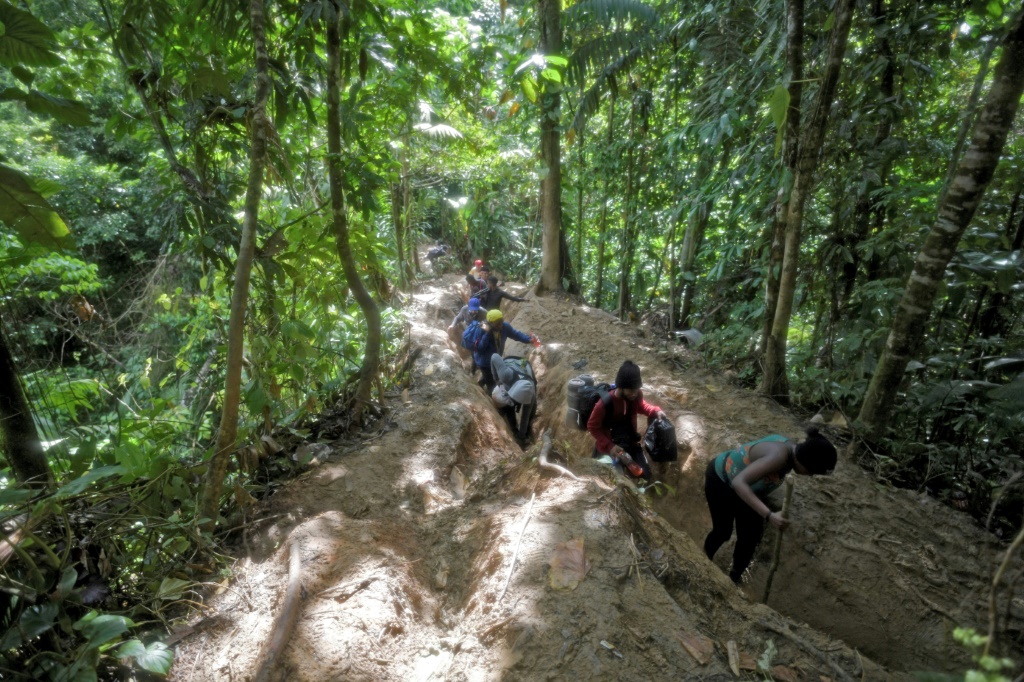     تعد منطقة الغابة الكثيفة بين بنما وكولومبيا ، والمعروفة باسم Darien Gap ، طريقًا غادرًا للمهاجرين من أمريكا الجنوبية المتجهين شمالًا إلى الولايات المتحدة (أ ف ب)   