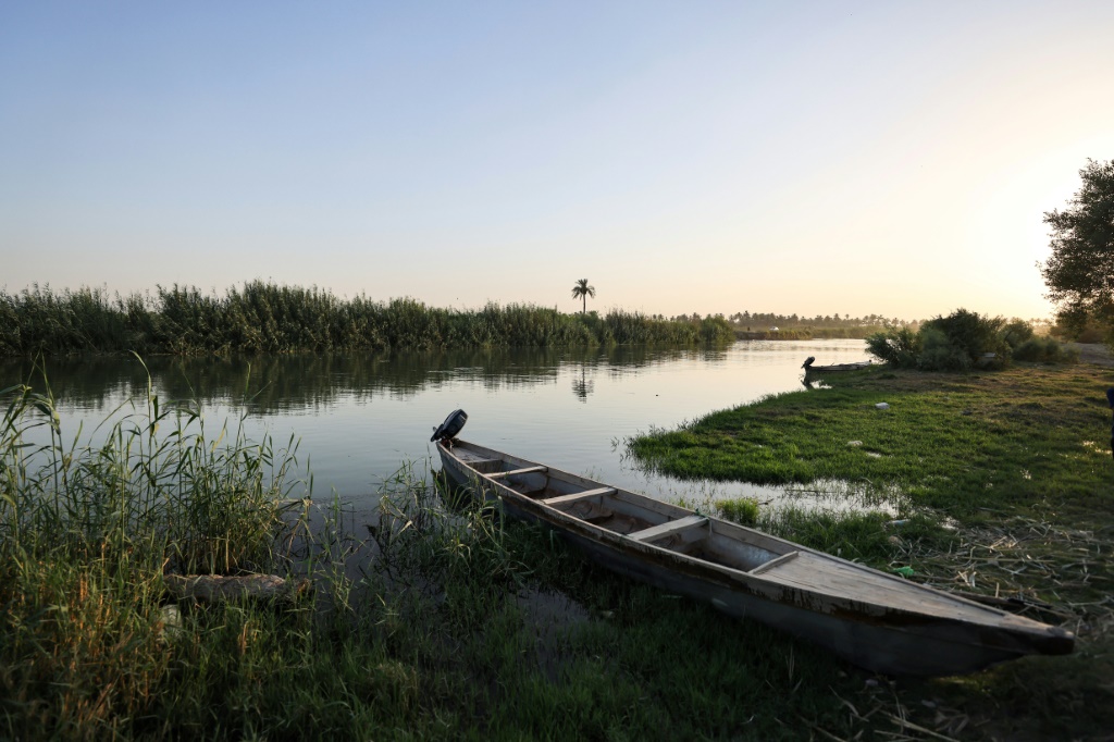 قارب صيد سمك في مياه نهر الفرات في بلدة الحمزة في العراق في السادس من تموز/يوليو 2023 (ا ف ب)