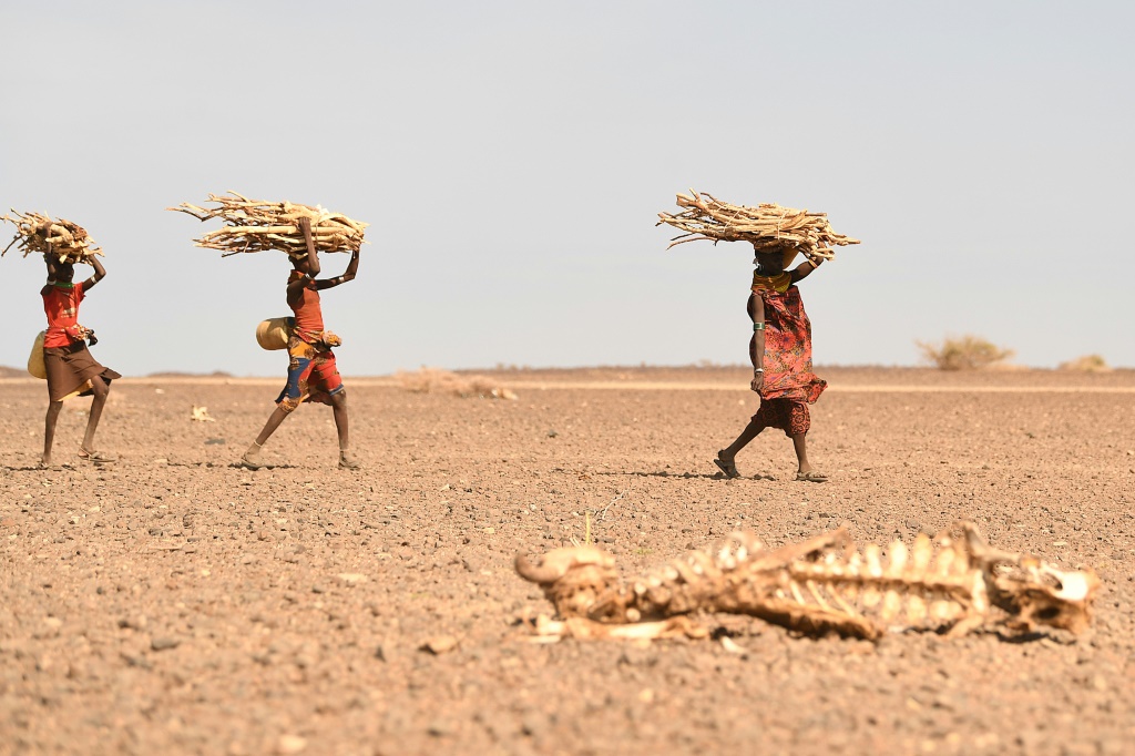    تعرضت منطقة القرن الأفريقي لأسوأ موجة جفاف منذ أربعة عقود (أ ف ب)   