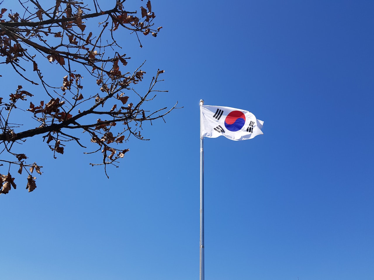 علم كوريا الجنوبية (بيكسلز)