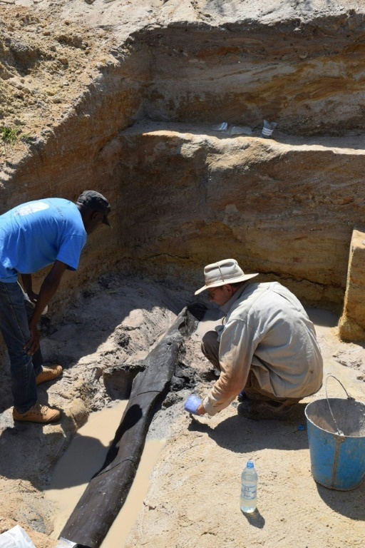 صورة ملتقطة في تموز/يوليو 2019 نشرتها جامعة ليفربول البريطانية في 20 أيلول/سبتمبر 2023 تظهر علماء آثار يعملون في موقع لهيكل خشبي عائد لحقبة ما قبل التاريخ عند شلالات كالامبو في زامبيا (ا ف ب)