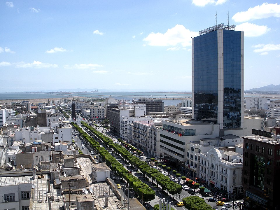 مدينة تونس (ويكيبيديا)