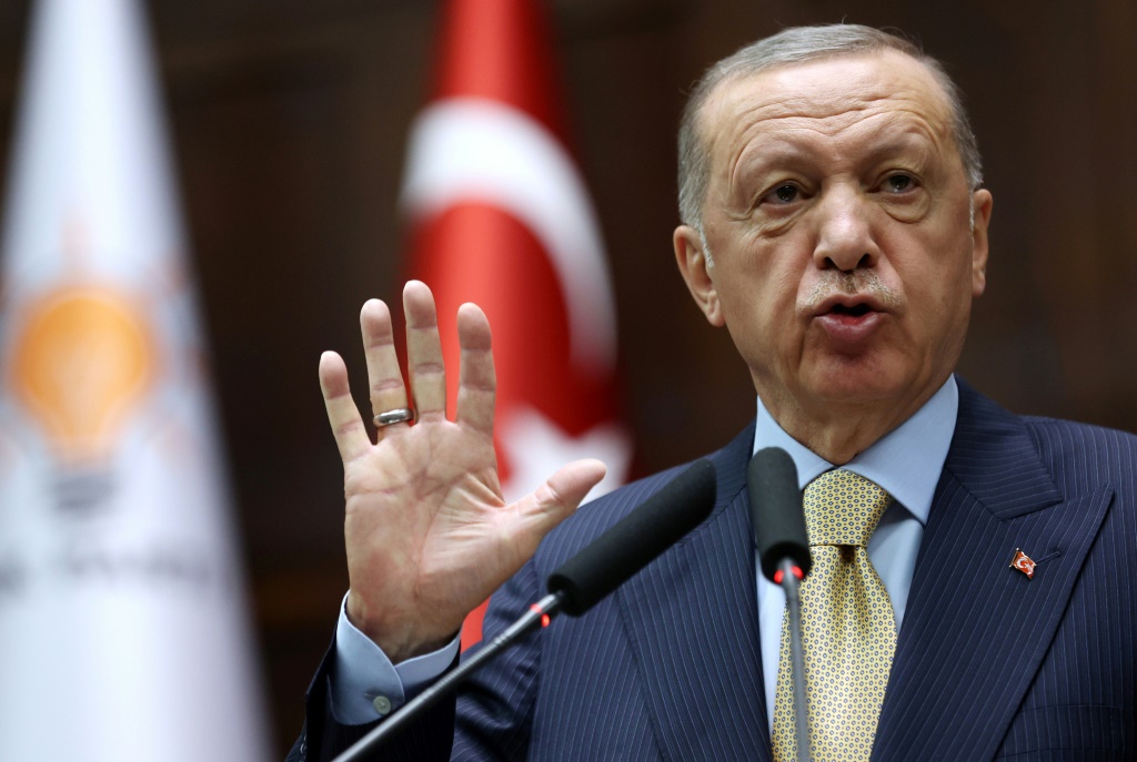الرئيس التركي رجب طيب أردوغان (أ ف ب)