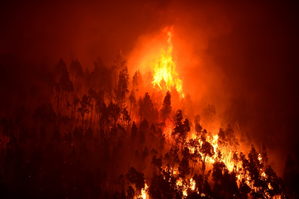 حريق غابات قرب بلدة ميغا فونديرا في البرتغال في 18 حزيران/يونيو 2023 (أ ف ب)
