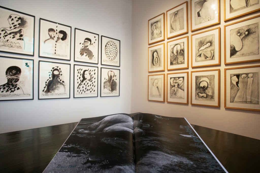 النمساوي غونتر بروس هو آخر مؤسس "النشطاء" المشهورين في فيينا على قيد الحياة (ا ف ب)