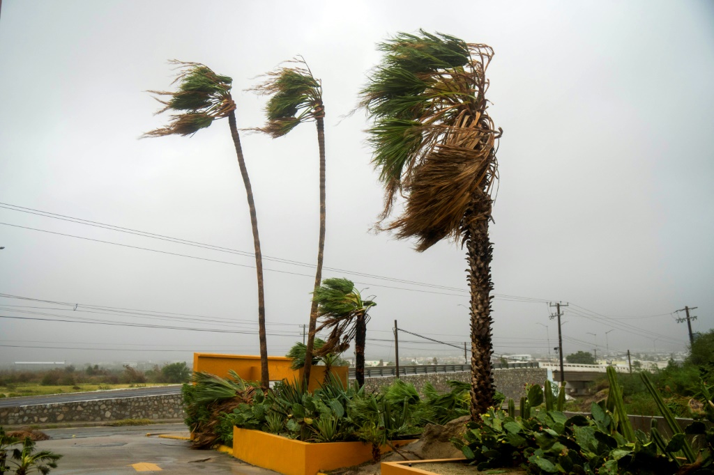 رياح عاتية قبل وصول إعصار نورما إلى لوس كابوس بولاية باجا كاليفورنيا في 21 أكتوبر 2023 (أ ف ب)   