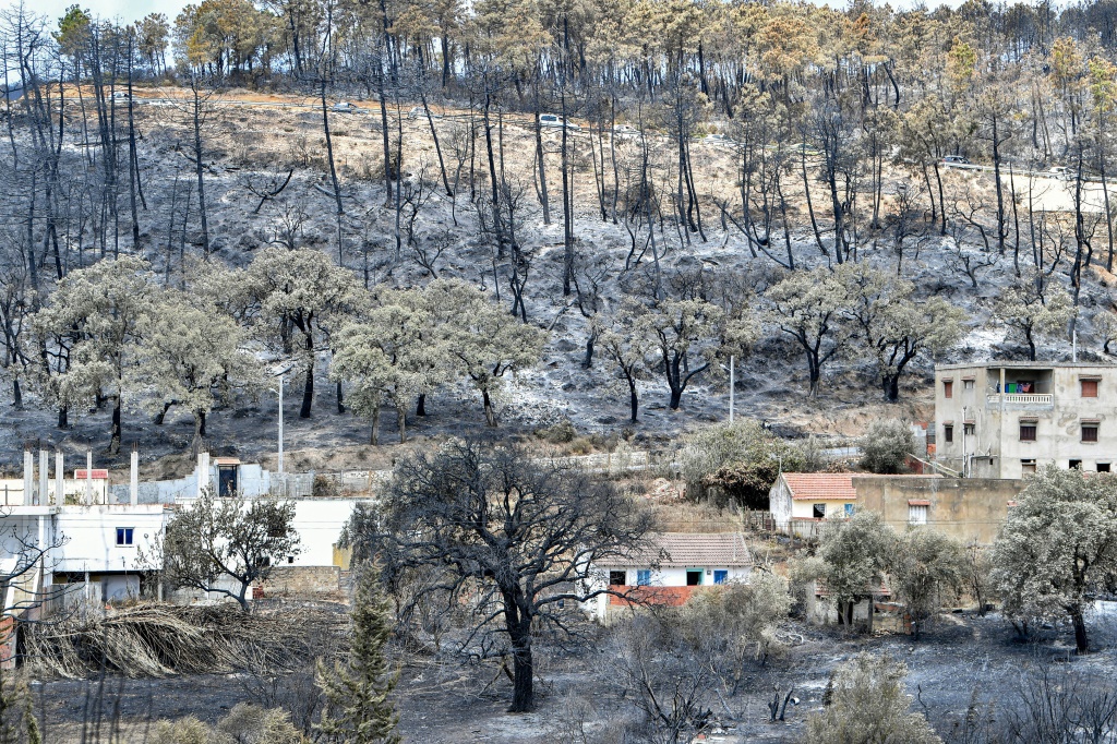 صورة التُقطت في 26 تموز/يوليو 2023 تُظهر بلدة ملولة في شمال غرب تونس قريبة من الحدود مع الجزائر بعد حريق غابة (أ ف ب)   