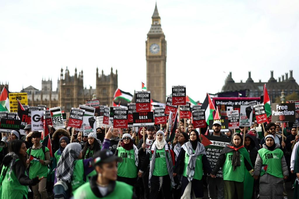ولوح العديد من المتظاهرين بالأعلام الفلسطينية (أ ف ب)   