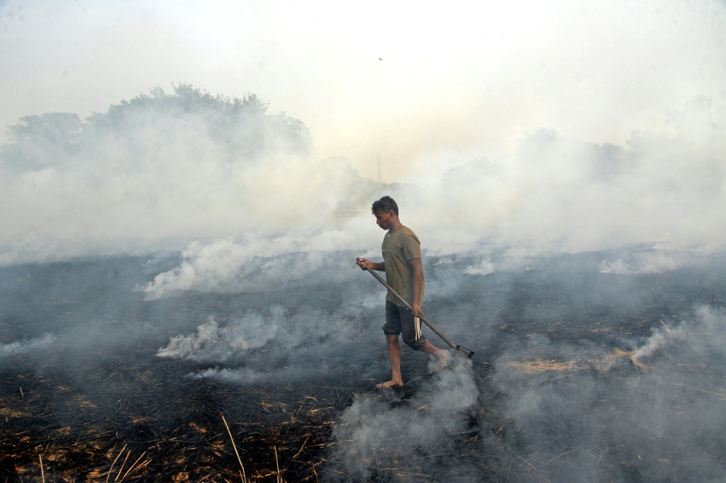 مزارع يحرق القش في حقل بمدينة جالاندار الهندية في الثالث من تشرين الثاني/نوفمبر 2022 (ا ف ب)